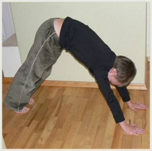 pies głową w dół na stronę